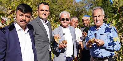 Yazır’da Üzüm Şenliği Coşkusu