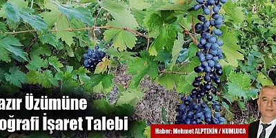 Yazır Üzümüne Coğrafi İşaret Talebi