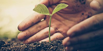 Yemeksepeti’nden sipariş veren her 3 kişiden 1’i yeşili koruyor