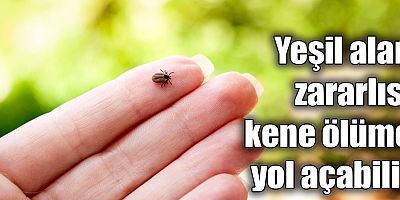 Yeşil alan zararlısı kene ölüme yol açabilir