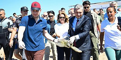 Yeşil deniz kaplumbağası Hanzala, denize uğurlandı