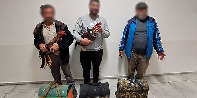 Yeşildere Mahallesinde Dövüş İçin Hazırlanan Horozlar Muhafaza Altına Alındı