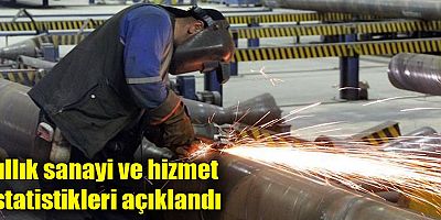 Yıllık sanayi ve hizmet istatistikleri açıklandı