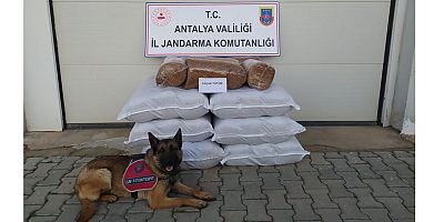 Yolcu otobüsünde 7 çuvalda 210 kilo kaçak tütün ele geçirildi