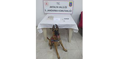 Yolcu otobüsünde uyuşturucu ele geçirildi