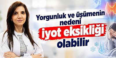 Yorgunluk ve üşümenin nedeni iyot eksikliği olabilir Bu habere sadece bu başlıkla bu fotoğrafla   980 x 437 px boyutunda internet haber sitesi manşet fotoğrafı hazırlar mısın?