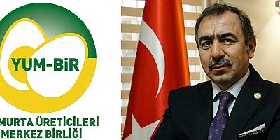 Yumurta sektöründe yol haritası 7. Yumurta Zirvesi'nde çizilecek