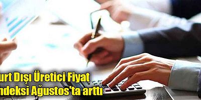 Yurt Dışı Üretici Fiyat Endeksi Ağustos'ta arttı