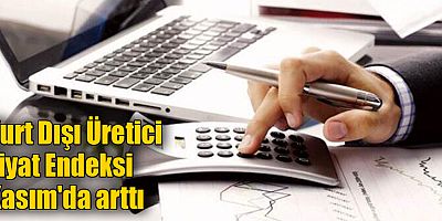 Yurt Dışı Üretici Fiyat Endeksi Kasım'da arttı