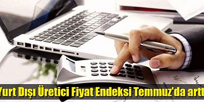 Yurt Dışı Üretici Fiyat Endeksi Temmuz'da arttı