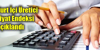 Yurt İçi Üretici Fiyat Endeksi açıklandı