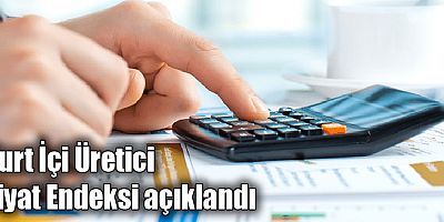 Yurt İçi Üretici Fiyat Endeksi açıklandı