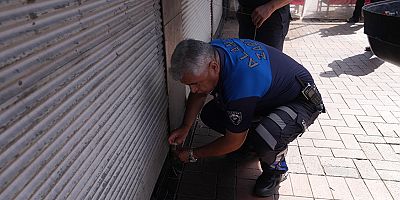 Zabıta ekiplerinden halk sağlığı ve kamu huzuru için etkin mücadele