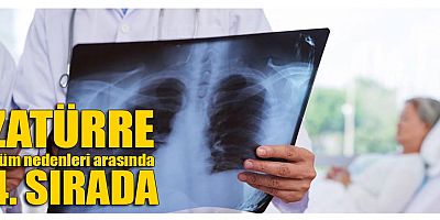 Zatürre ölüm nedenleri arasında 4. sırada