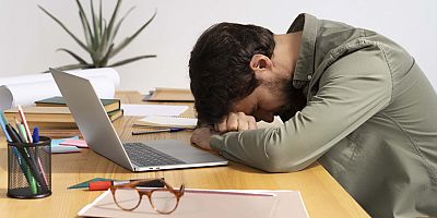 “Zeki ama Tembel”