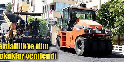 Zerdalilik’te tüm sokaklar yenilendi