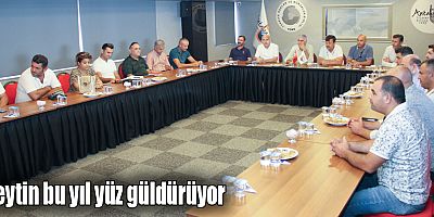 Zeytin bu yıl yüz güldürüyor