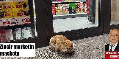 Zincir marketin maskotu