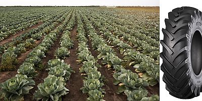 Zorlu kış şartlarında kesintisiz tarımsal üretim için dikkat