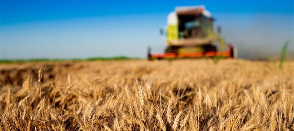 Tarım-GFE yıllık %49,92, aylık %3,59 arttı
