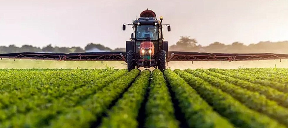 Tarım ürünleri üretici fiyat endeksi (Tarım-ÜFE) yıllık %36,01 arttı, aylık %3,06 arttı