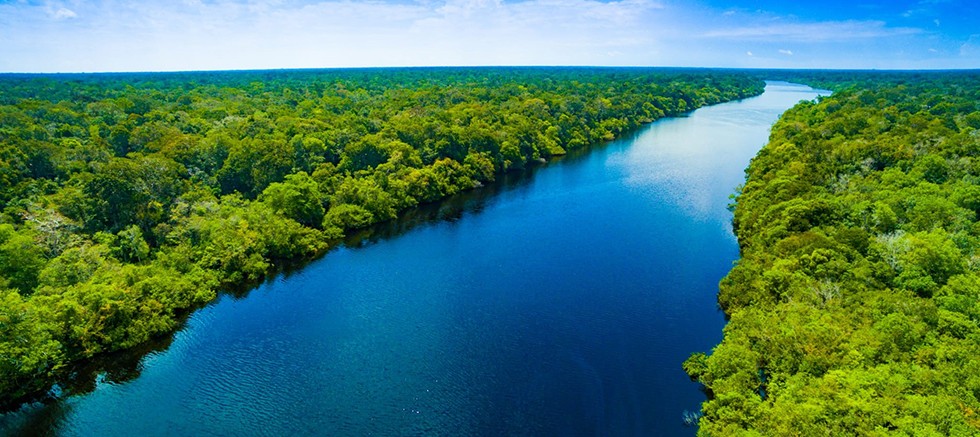 TEMA Vakfı: Barışçıl bir dünya için orman ve su varlıklarına ihtiyacımız var!