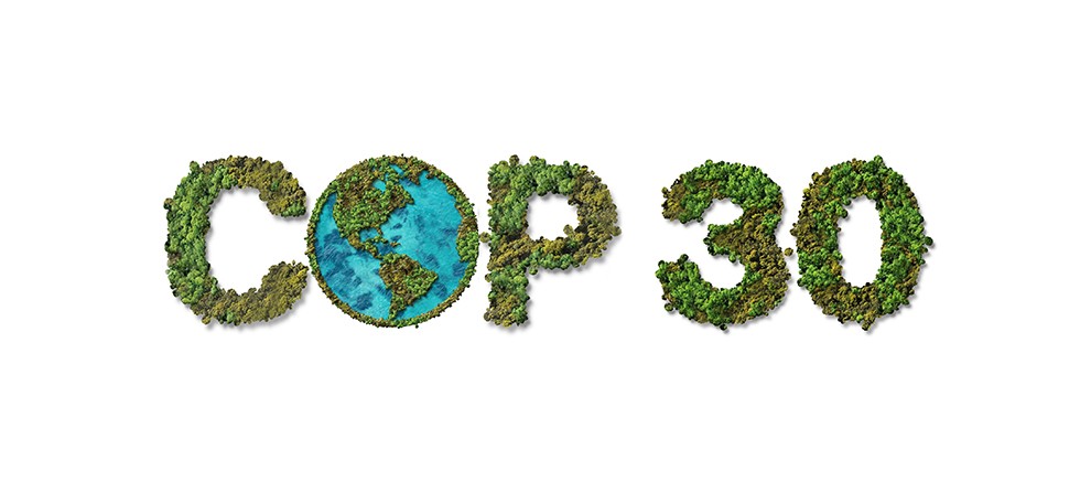 TEMA Vakfı: COP30 Çözüm Değil, Erteleme Üretti 