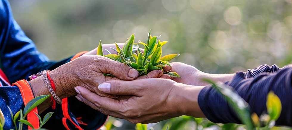 TEMA Vakfı: Ormanları ve su varlıklarını korumak artık bir tercih değil, zorunluluk