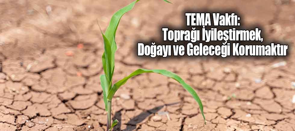 TEMA Vakfı: Toprağı İyileştirmek, Doğayı ve Geleceği Korumaktır