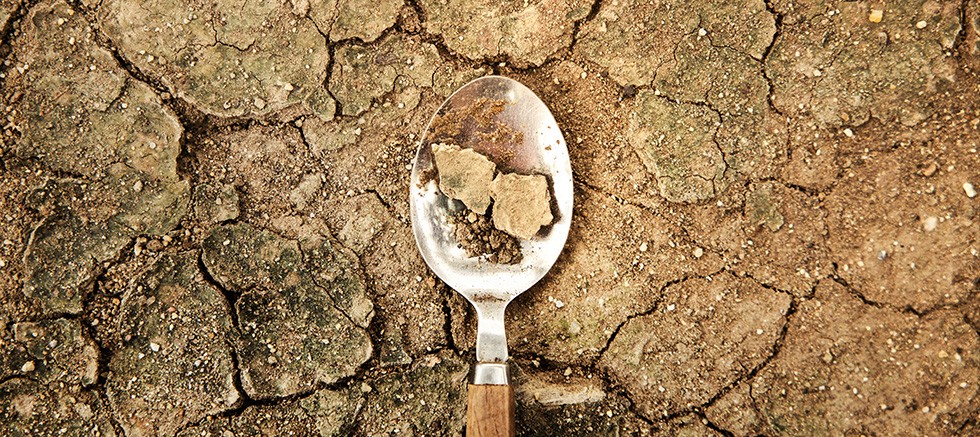 TEMA Vakfı: Toprak Yoksa Su, Su Yoksa Gıda Yok!