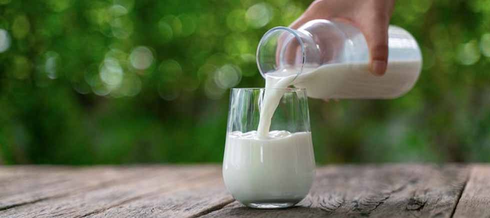 Ticari süt işletmelerince 835 bin 773 ton inek sütü toplandı