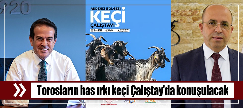 Torosların has ırkı keçi Çalıştay'da konuşulacak