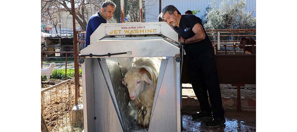 Ücretsiz parazit uygulaması üreticinin yüzünü güldürdü