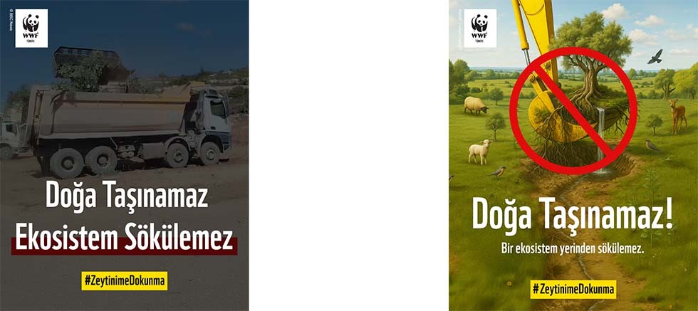 WWF-Türkiye'den Anayasa Mahkemesi'ne Çağrı: “Doğa Taşınamaz, Ekosistem Yerinden Edilemez”