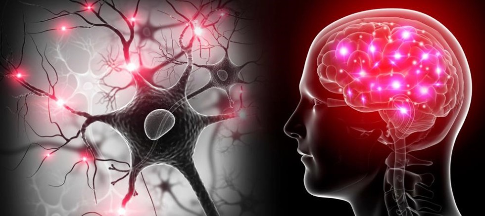 Yapay Zeka, Disleksi ve Otizm’in Erken Tanısında Yüzde 98'e Varan Doğruluk Sağladı