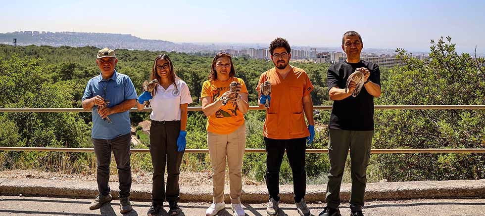 Yetişkinliğe erişen kerkenez yavruları doğal ortamlarına bırakıldı